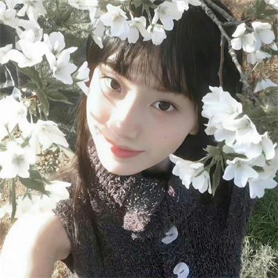 坐庄2:操盘手